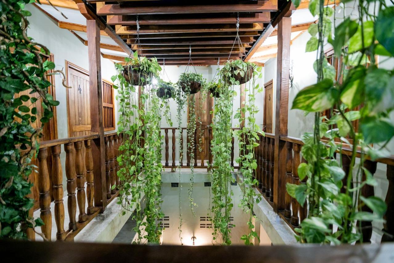Scalea Di Mare Hotel — Foto 3