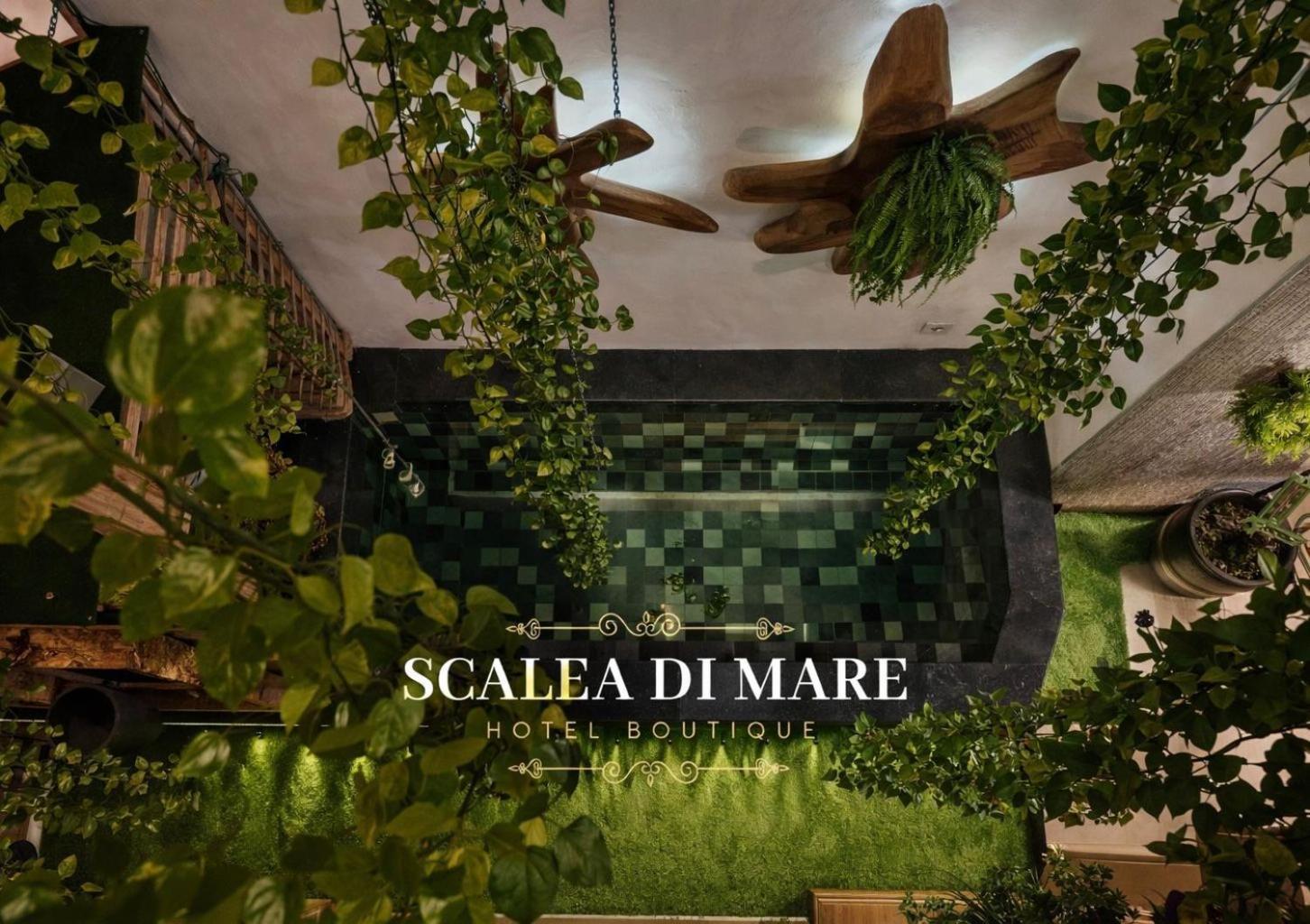 Scalea Di Mare Hotel — Foto 1